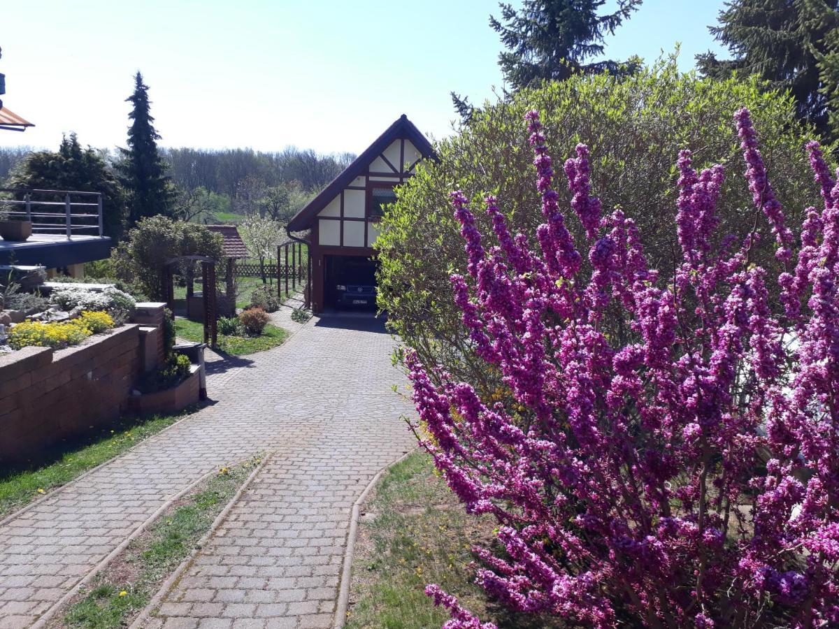 Ferienwohnung Zur Saaleaue Wettin Exterior foto